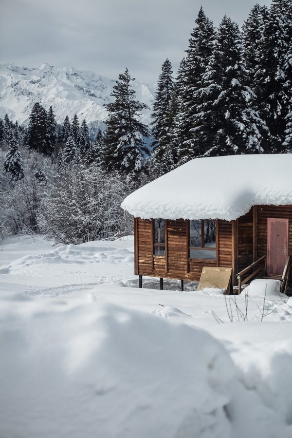 Location chalet avoriaz : découvrez des biens d'exception